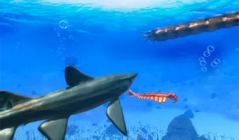 Helicoprion Simulator