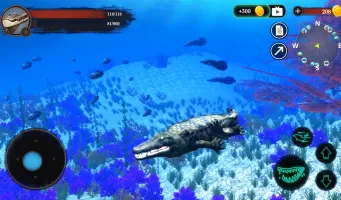 The Crocodile