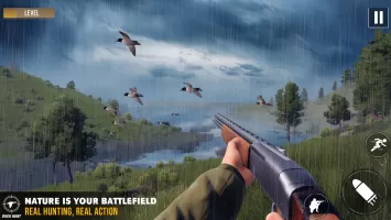 Duck Hunting 3d: Birds Shooter