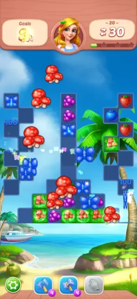 Fruit Diary - Match 3 Games