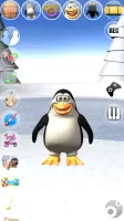 Sweet Little Talking Penguin