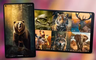 Animal Wallpapers 4K