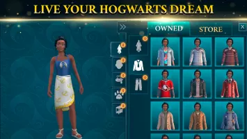 Harry Potter: Hogwarts Mystery