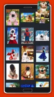 Baby Photo Montage