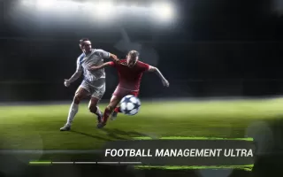 FMU - Football Manager Game