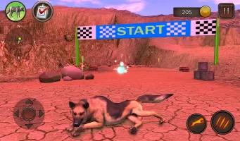 German Shepherd Simulator