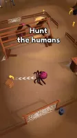 The Spider Nest