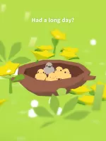 Forest Island : Relaxing Game