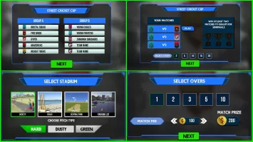 Street Criket-T20 Cricket Game