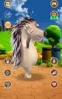 Talking Hedgehog