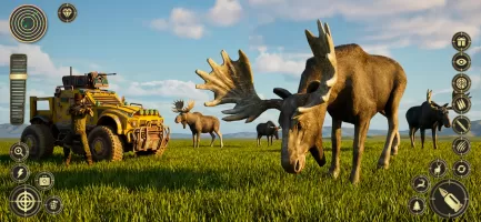 Jungle Deer Hunting Games 3D