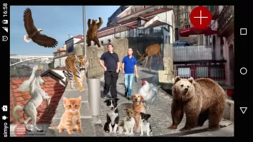 Real Animals Photo Stickers