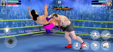 Tag Team Wrestling Game