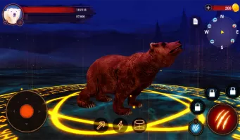 The Bear
