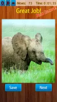 Jigsaw Puzzles