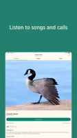 Audubon Bird Guide