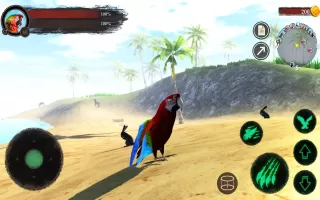 The Parrot