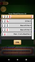 Cribbage Pro