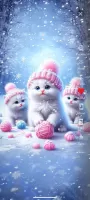 Cute Cat Wallpaper HD