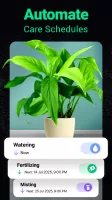 Plantum - Plant Identifier