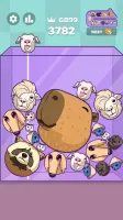 Capy Merge: Animal Drop Puzzle