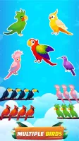 Bird Sort - Color Birds Game