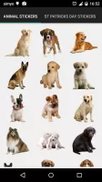 Real Animals Photo Stickers