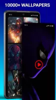 Spider 4K Hero Wallpapers Live
