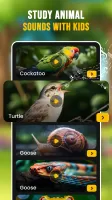 Animal Ringtones & Wallpapers