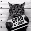 Makedonec Farenheitovich (JackJack)