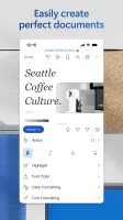 Microsoft Word