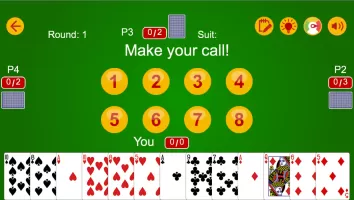 Call Break++