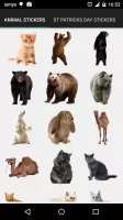 Real Animals Photo Stickers