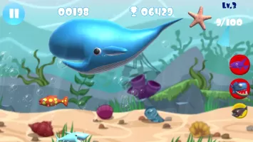 Big Shark