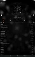 WearMedia Musik Player Wear