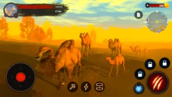 The Camel