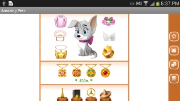 Amazing Pets