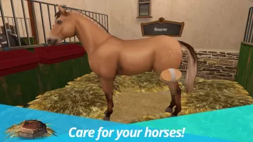 Horse World – My Riding Horse