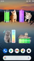 Cat Battery widget