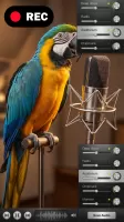 Video Voice Changer FX
