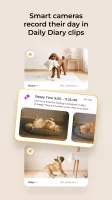 Petcube
