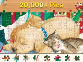 Jigsaw Puzzle