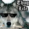 Wolf Gamer 311