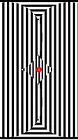 Optical illusions