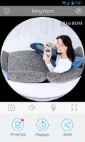 Clever Dog