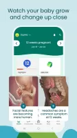 Pregnancy App & Baby Tracker