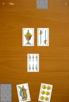 Scopa 15