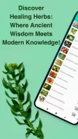 Medicinal Plants & Herbs Guide