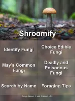 Shroomify