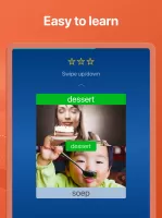 Learn Dutch - Speak Dutch
